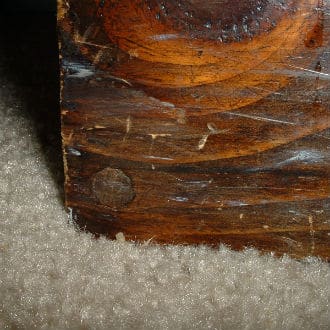 The bottom left of center shows a wood plug covering a wood screw tightened below the surface of the wood. A specialized pilot hole bit with countersinking was used.