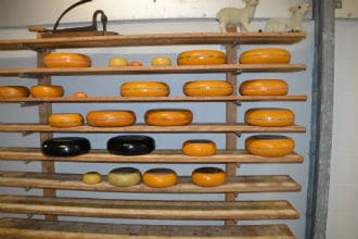 This picture shows shelves supported by metal pipes. The shelves are holding cheese. Small image.