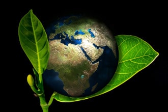 This picture shows a globe on a green leaf. It symbolizes an eco-friendly Earth.