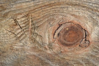 This image is found in the How To Use A Jigsaw To Cut A Hole blog post. It shows wood with a loose knot hole and cracks.