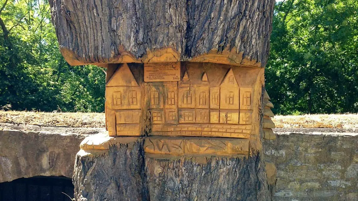 Notch carved out of tree