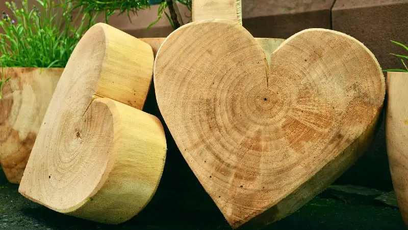 Two unfinished wooden hearts with rough edges placed side-by-side, touching and leaning against a backdrop in an outdoor setting.