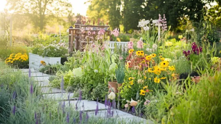 Home garden ideas: A vibrant and inspiring home garden.