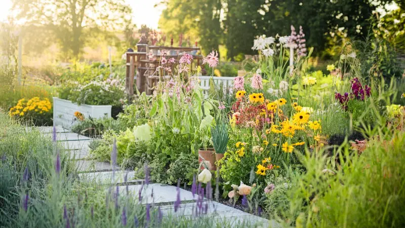Home garden ideas: A vibrant and inspiring home garden.